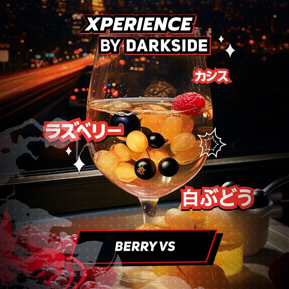 DARKSIDE XPERIENCE - Berry VS (120g)