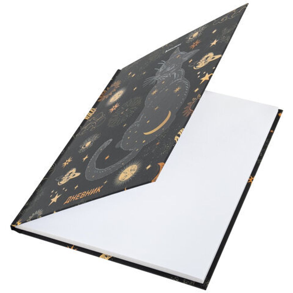 Дневник 5-11 класс 48 л., твердый, BRAUBERG, выборочный лак, с подсказом, "Astro Cat", 106415