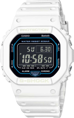 Часы Casio DW-B5600SF-7