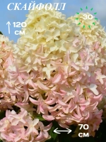 Скайфол гортензия метельчатая