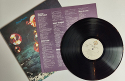 Винтажная виниловая пластинка LP Deep Purple Who Do We Think We Are (Japan 1979) (No Obi) Woman From Tokyo