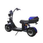 Электроскутер Skyboard BR30-2WD (Ural)