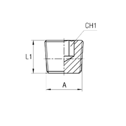 Заглушка (Ш) NPT 1/2"
