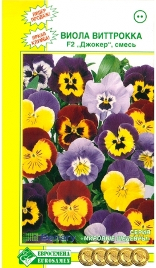 Виола виттрока F2 Джокер, смесь