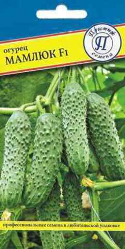 Огурец Мамлюк Престиж