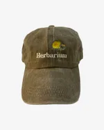 Кепка Гербарий Одуванчик Коричневая