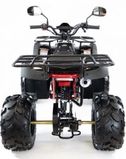 Квадроцикл MOTAX ATV Grizlik 7 110 cc