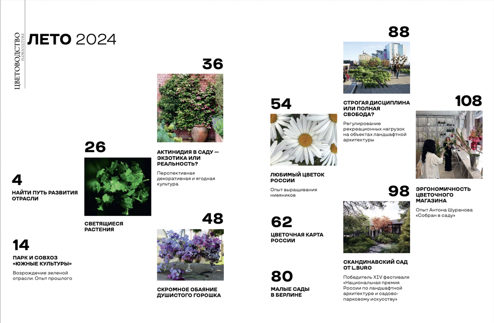 Цветоводство ЛЕТО 2024