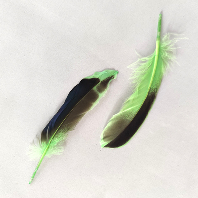 Перья кряквы салатовые 10 шт.
