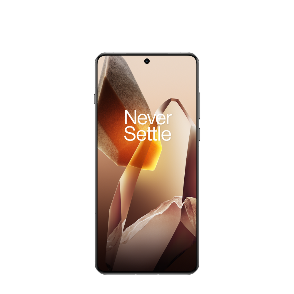 OnePlus 13 12/256Gb Arctic Dawn IN