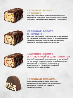 Скриншот 2026-03-05 19-56-42