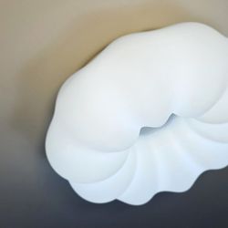 Накладной светильник Zortes Soft ZRS.1118.2