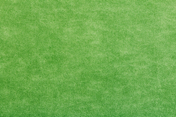 Велюр Elefante (Элефан) 08