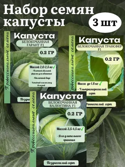 Семена капусты набор 3 шт (Гарант,Трансфер,Валентина)