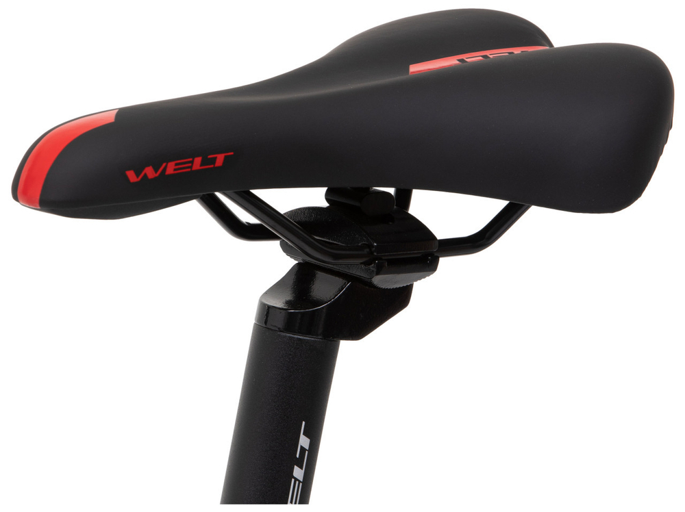 Горный велосипед Welt Ridge 1.1 HD 29 (2024)