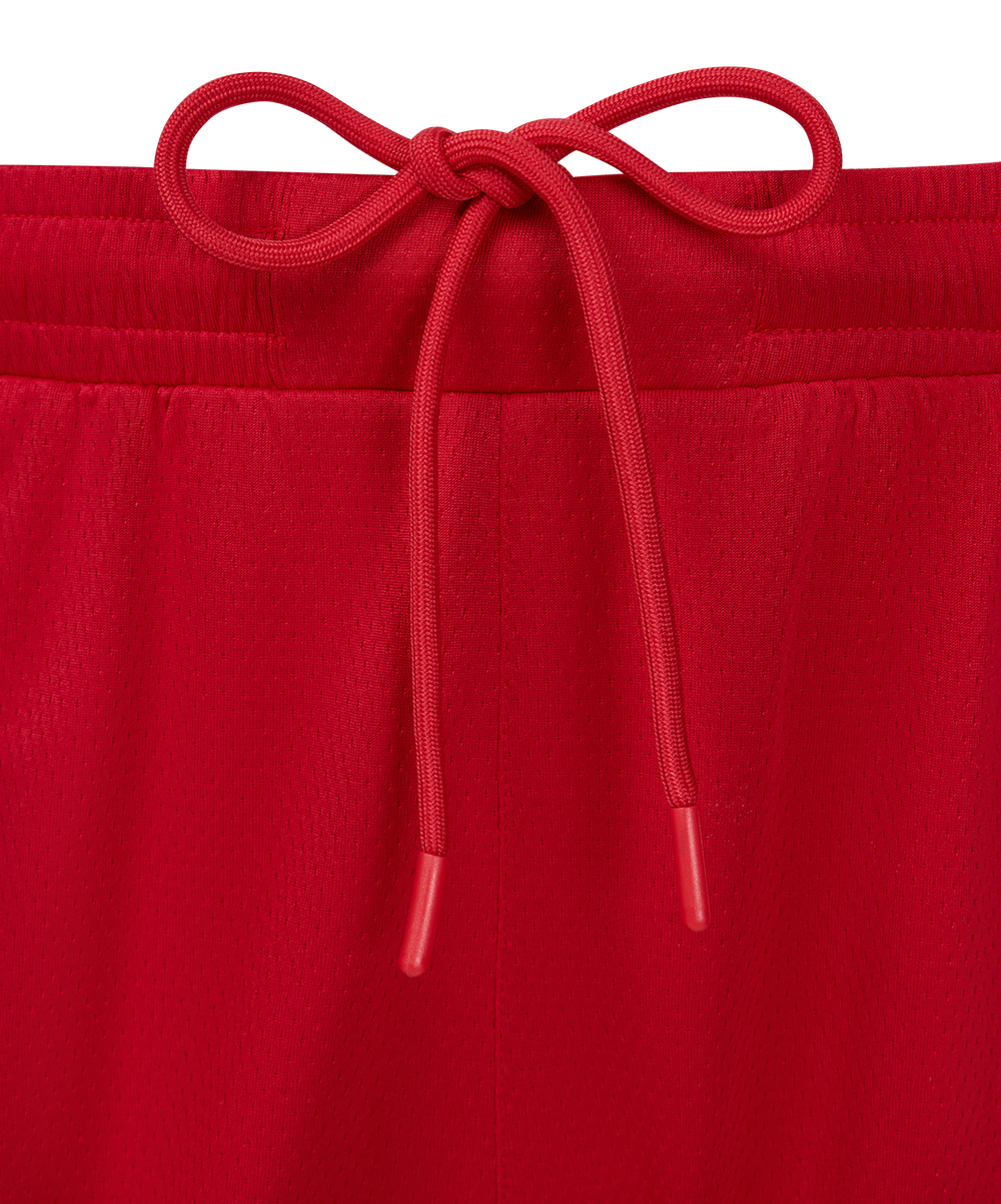 Шорты баскетбольные JÖGEL DIVISION PerFormDRY Shorts R2, красный