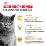 Royal Canin British Shorthair Adult (БРИТАНСКАЯ КОРОТКОШЕРСТНАЯ ЭДАЛТ) Корм сухой для взрослых британских кошек 400г