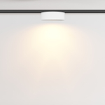 Трековый светильник Technical TR189-1-12W2.7K-BW