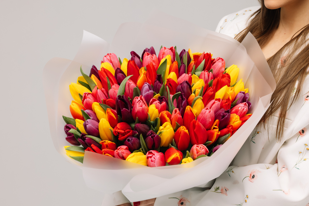 Микс 101 тюльпан