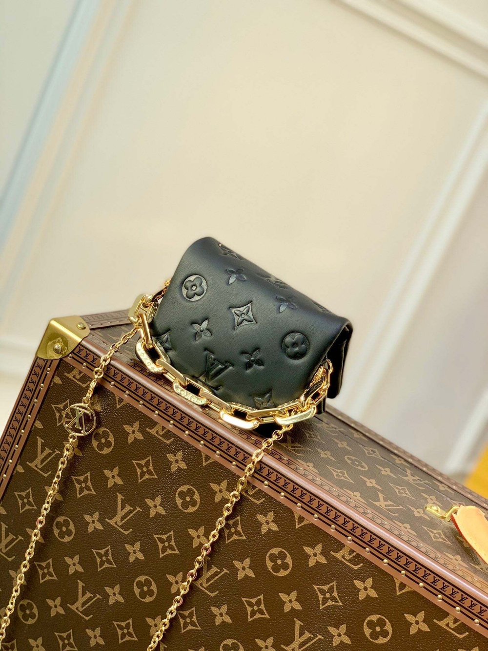 Louis Vuitton Coussin Beltbag