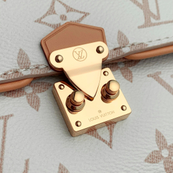 Louis Vuitton Pochette Camille