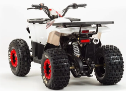 Квадроцикл MOTOLAND (МОТОЛЕНД) 125 WILD