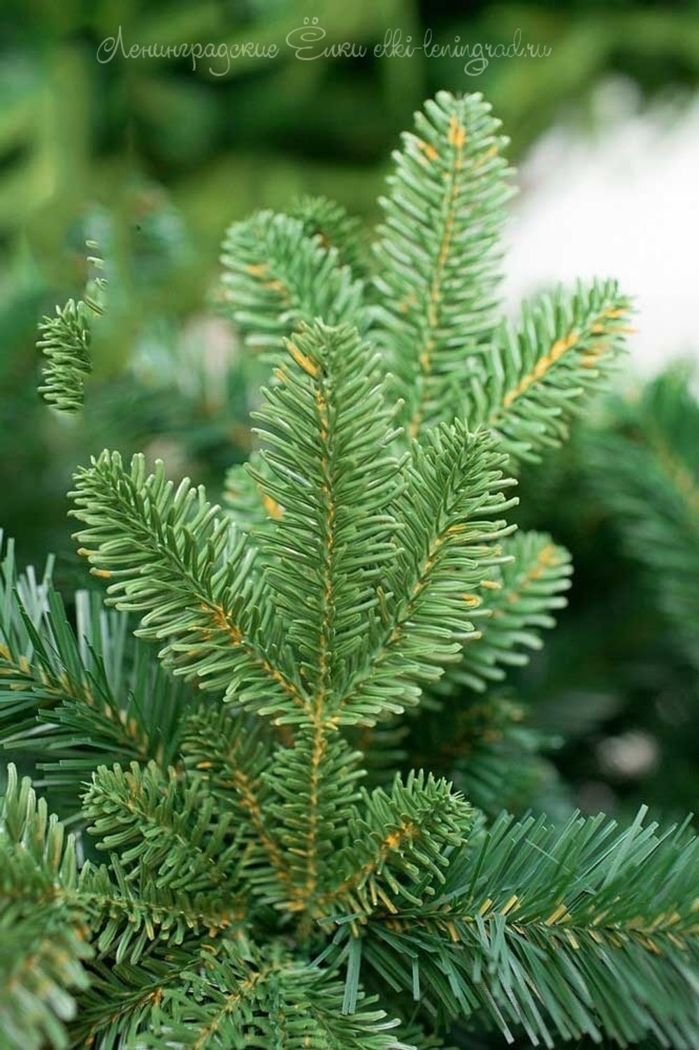 Елка с гирляндой «Барокко» (Литая+пвх) 180 см / 1,8 м