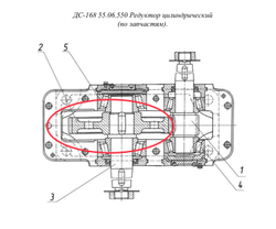 ДС-168 55.06.552 Колесо зубчатое