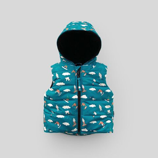 Жилет (сноубордисты)