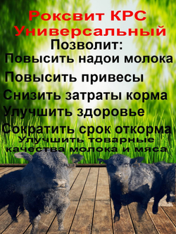 премикс витамины для откорма животных крс и мрс