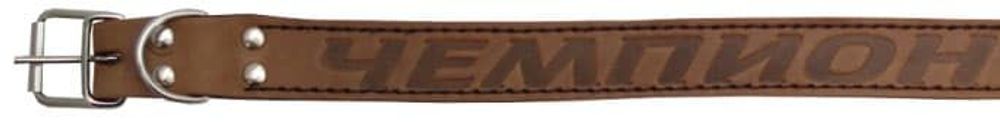 ОШЕЙНИК "BUDDY" 1 СЛОЙ ПРЯМОЙ С НАДПИСЬЮ 26мм ВМ110000 ОШЕЙНИК "BUDDY" 1 СЛОЙ ПРЯМОЙ С НАДПИСЬЮ 26мм ВМ110000