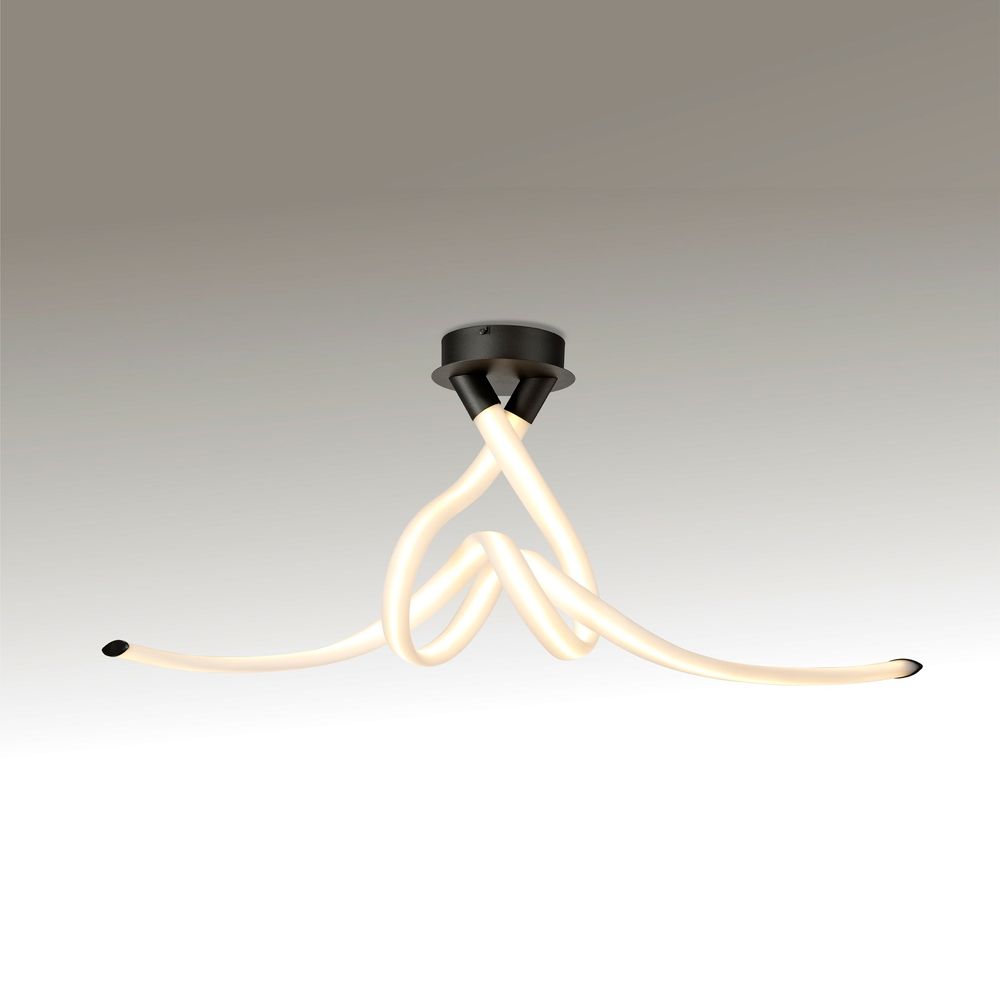 Люстра потолочная ARMONIA 6793