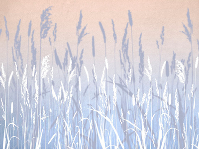 Дизайнерские обои Wall Street Essence