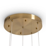 Подвесная люстра Freya FLOWER FR5579PL-L40BS