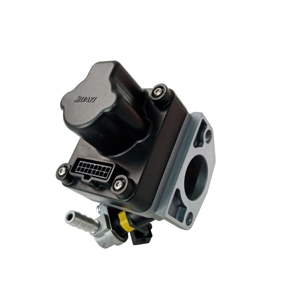 Блок управления дроссельной заслонкой H460i/170310045-0001