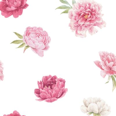 Розовые Пионы