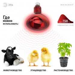 Инфракрасная лампа ЭРА ИКЗК 220-250 R127 для обогрева животных и освещения 250 Вт Е27 | Инфракрасные лампы