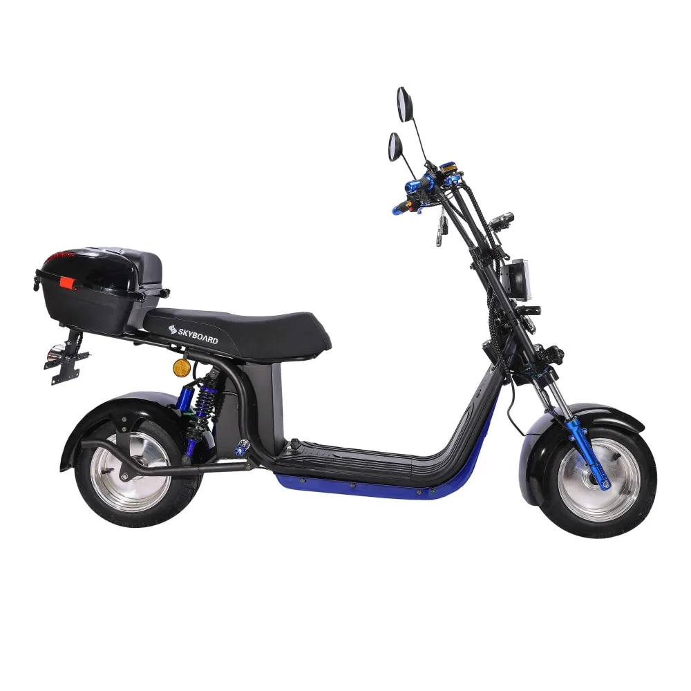 Электроскутер CityCoco Skyboard BR30-2WD (Ural) черный