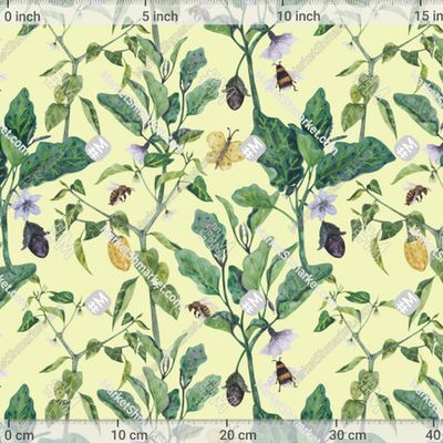 Баклажан растения на светлом by  Kseniia Zamal 380 DPI