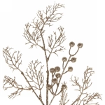 Ветка хвойная «Сияние зимы» 67 см, Шампань