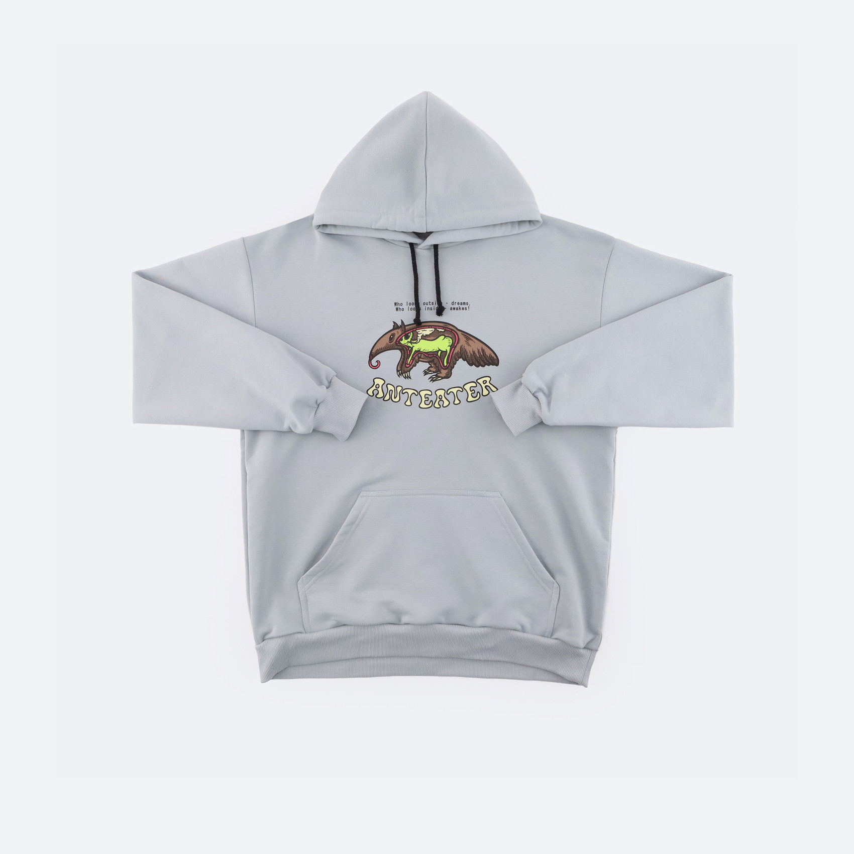 Худи Anteater Hoodie (light grey) артикул:pFYd79lmgmd5DqUeHhsij0 - купить в магазине Дайс