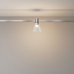 Накладной светильник Maytoni Bianca TR147-1-3W3K-PT