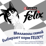 Felix Двойная вкуснятина сухой корм для взрослых кошек с мясом - 1,3 кг