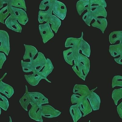 Листики монстеры на черном фоне Растительный принт