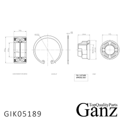 Подшипник ступицы передний RENAULT Clio II/Kangoo/Megane II/Laguna II /ABS+ GANZ GIK05189