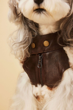 Жилетка для собак Ковбой