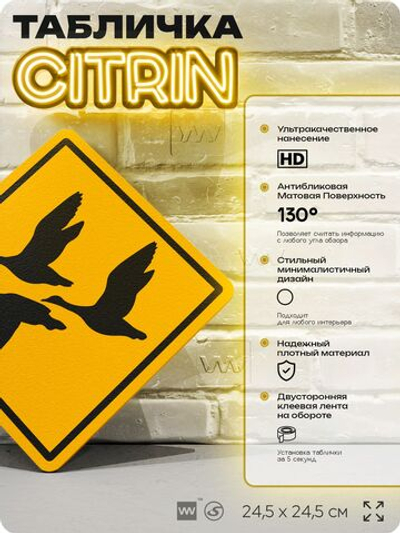 Табличка прикольная "Осторожно, птицы" на дверь и стену, информационная и предупреждающая, декоративный знак, 24,5х24,5 см, пластиковая, Айдентика Технолоджи