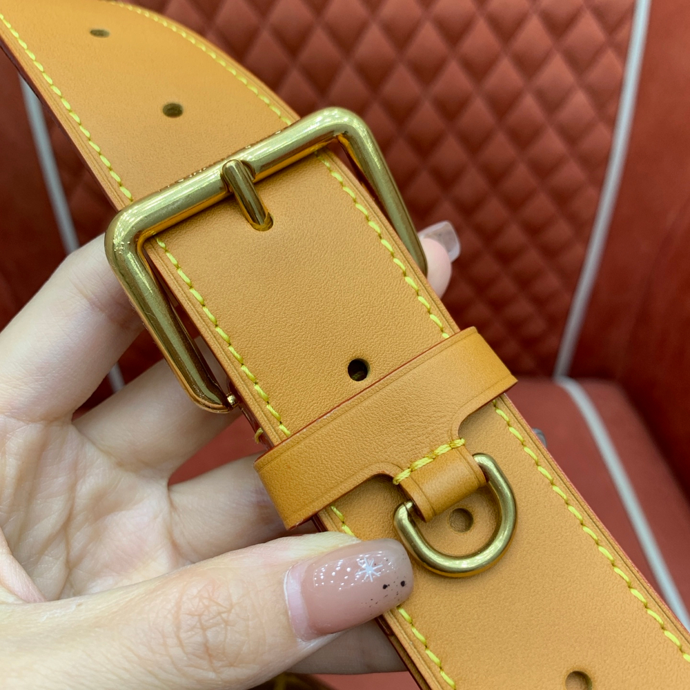 Louis Vuitton Satchel Messenger