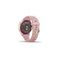 Умные часы Garmin Lily Sport Cream Gold, Dust Rose band