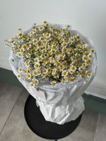 Букет моно из ромашек